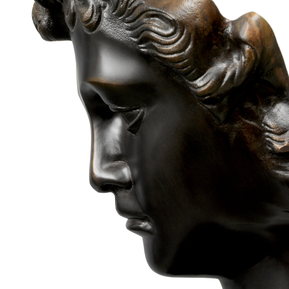 Bronze Head Statue David