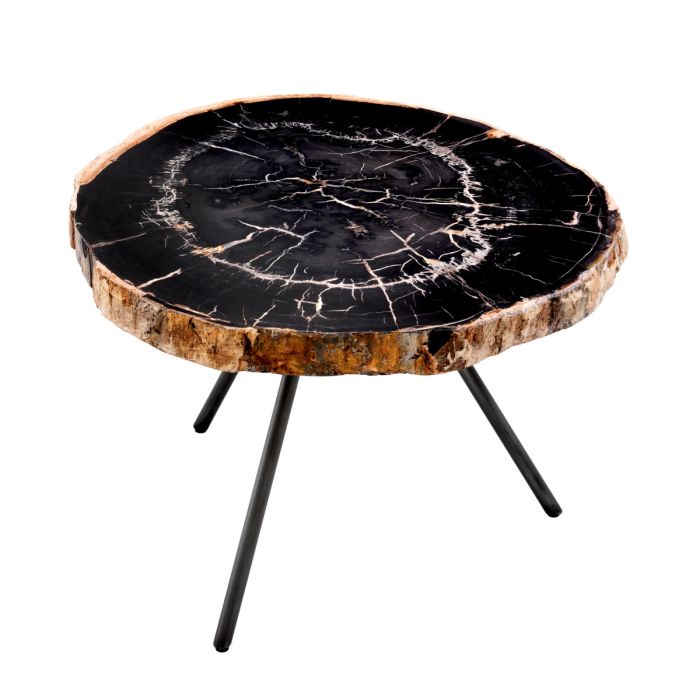 Coffee Table De Soto dark range petrified wood set of 3