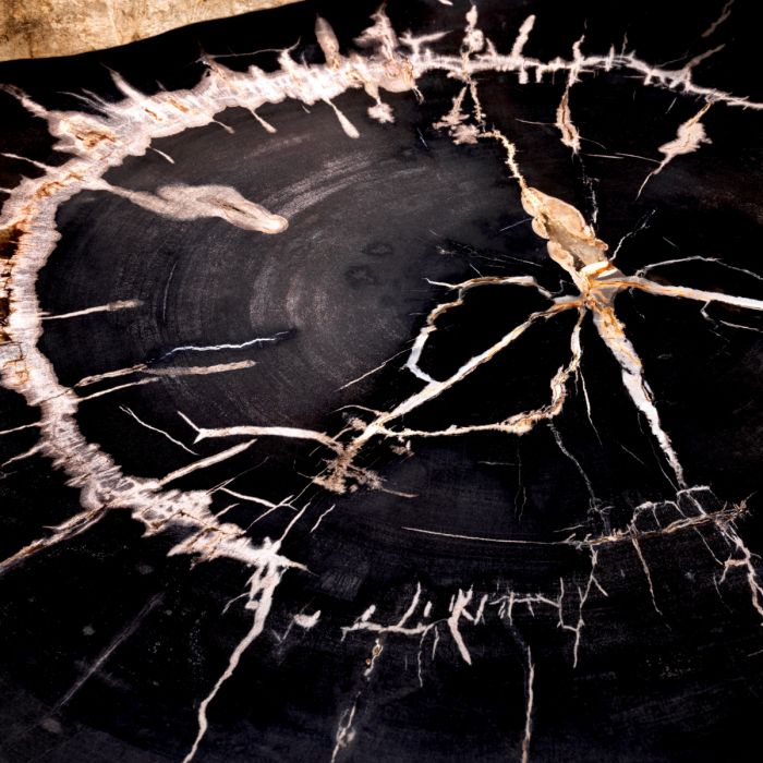 Coffee Table De Soto dark range petrified wood set of 3