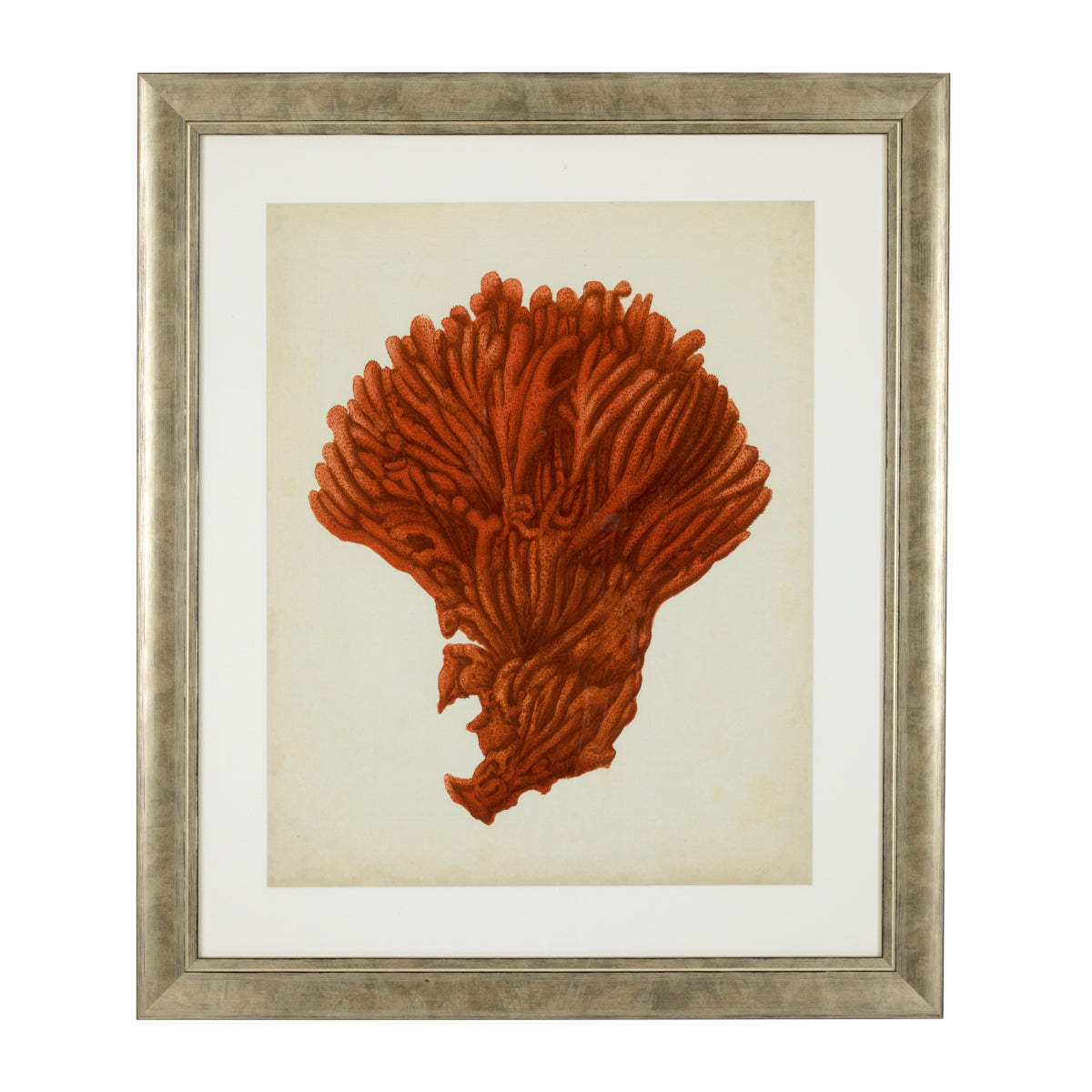 Silver Frame Prints (6) Red Corals | Eichholtzmh.com