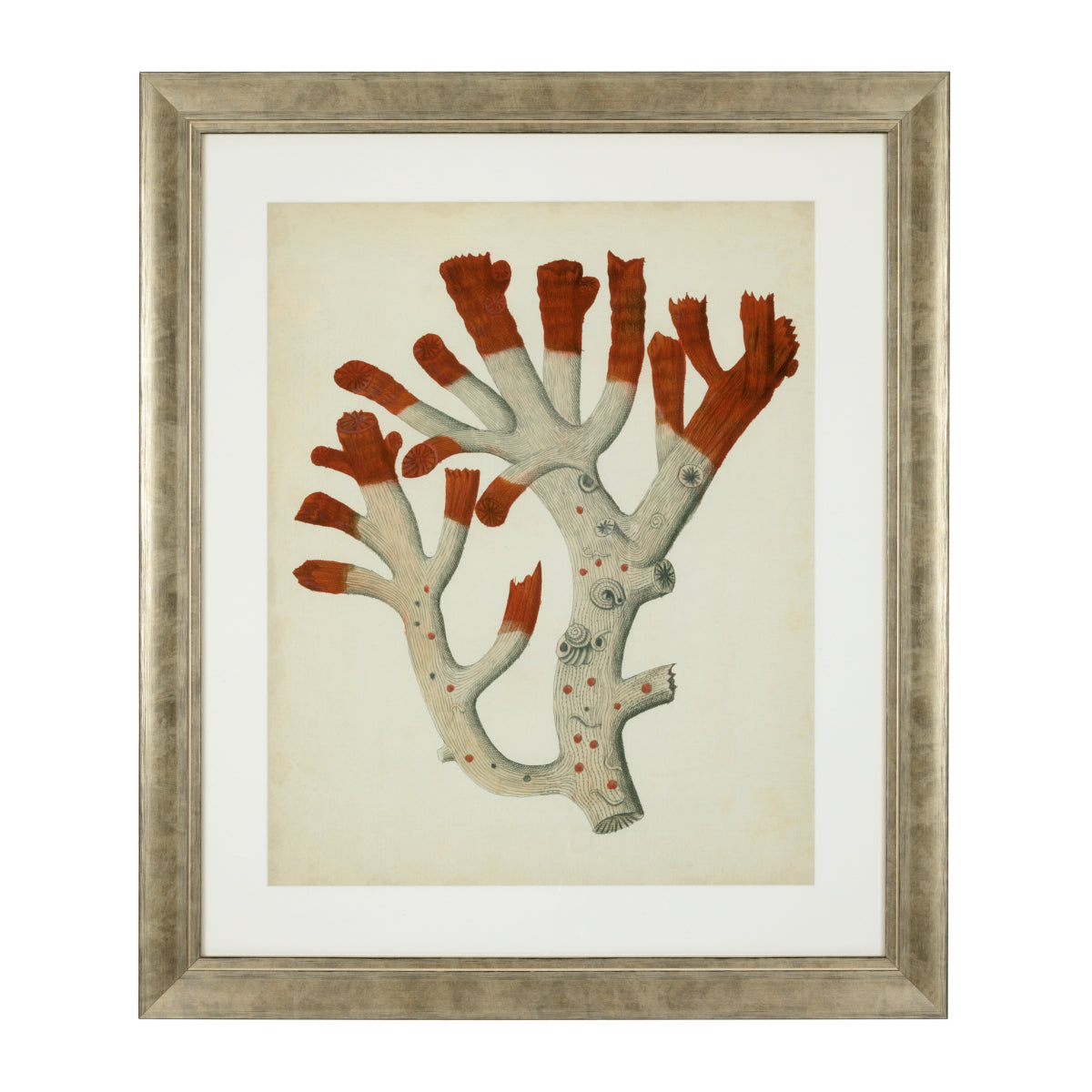 Silver Frame Prints (6) Red Corals | Eichholtzmh.com