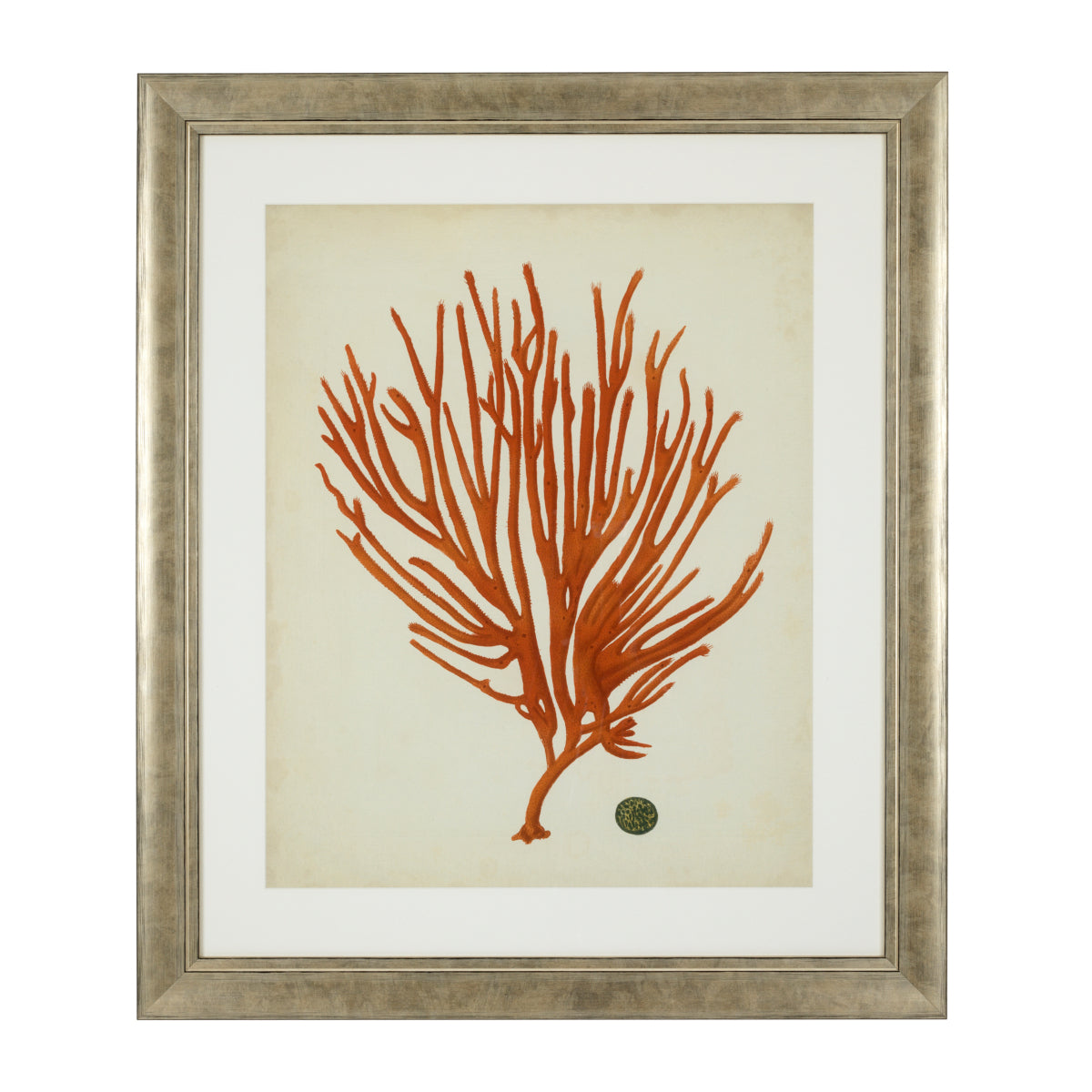 Silver Frame Prints (6) Red Corals | Eichholtzmh.com