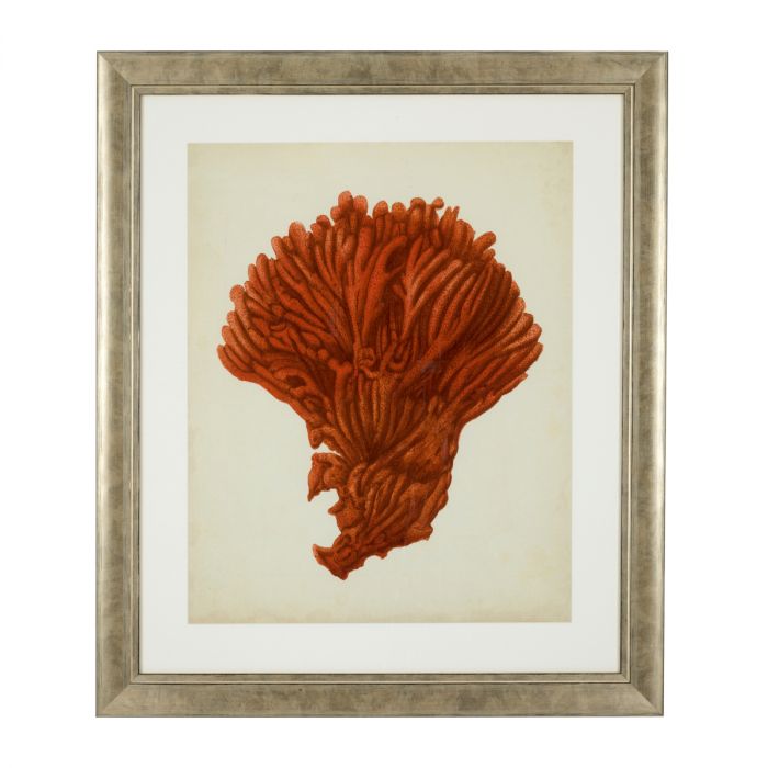 Print Antique Red Corals set of 6