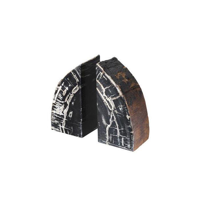 Bookend Opia petrified wood set of 2