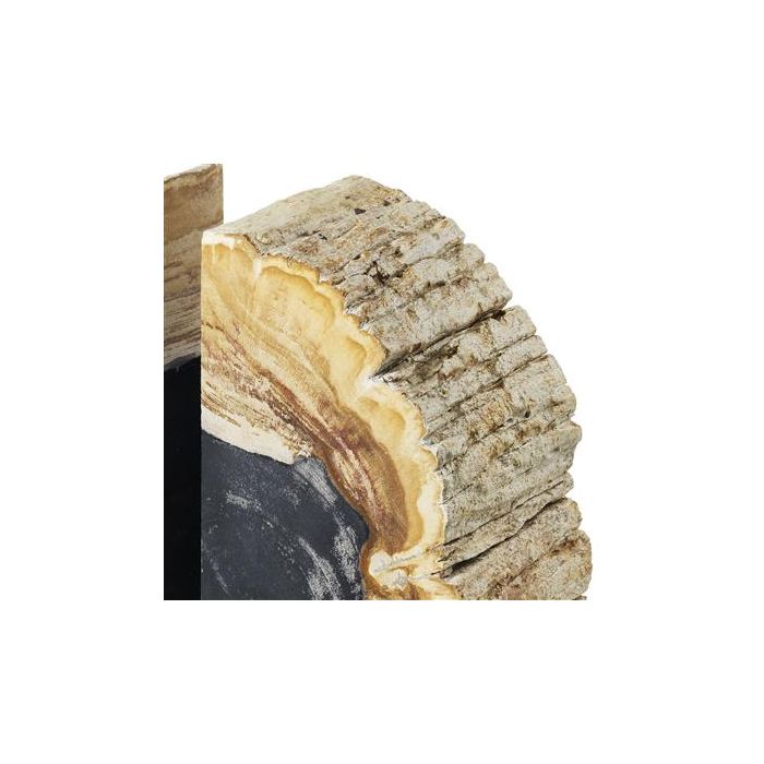 Bookend Opia petrified wood set of 2