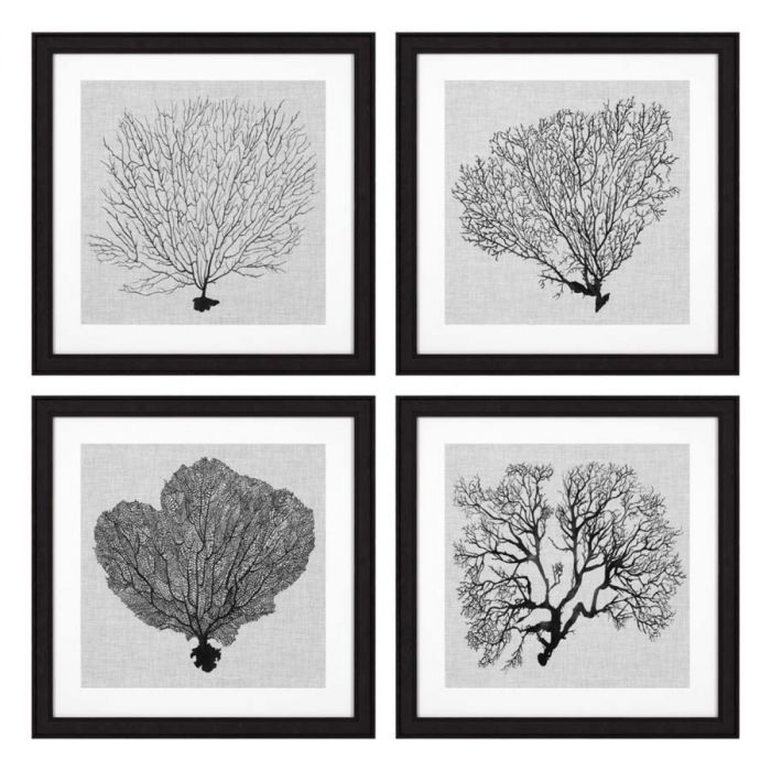 Print Shadow Sea Fans set of 4