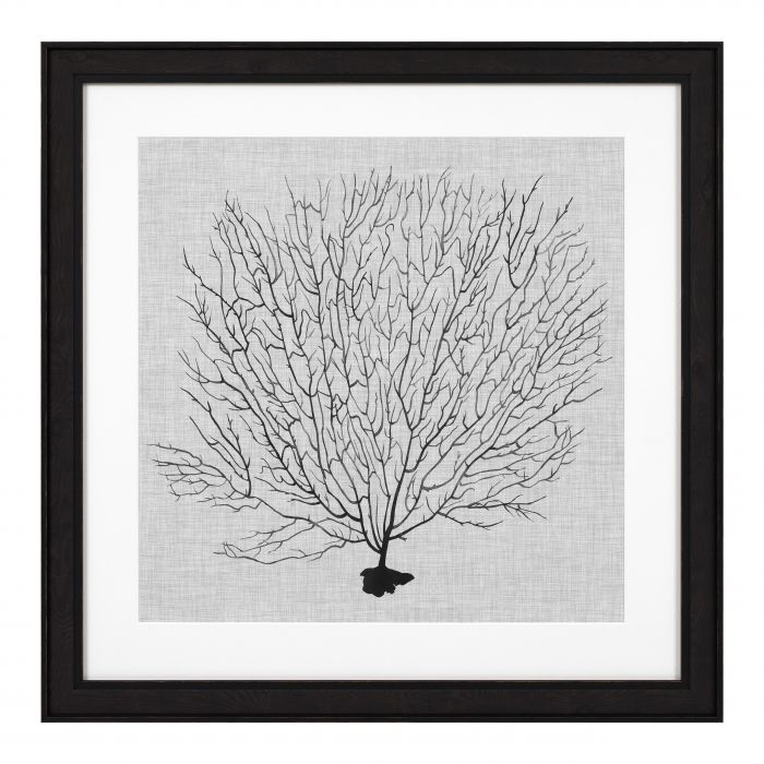Print Shadow Sea Fans set of 4
