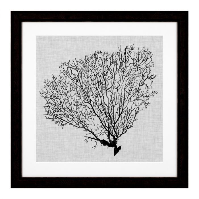 Print Shadow Sea Fans set of 4