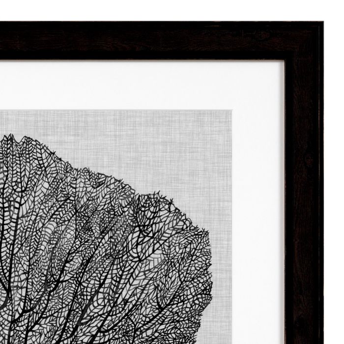 Print Shadow Sea Fans set of 4