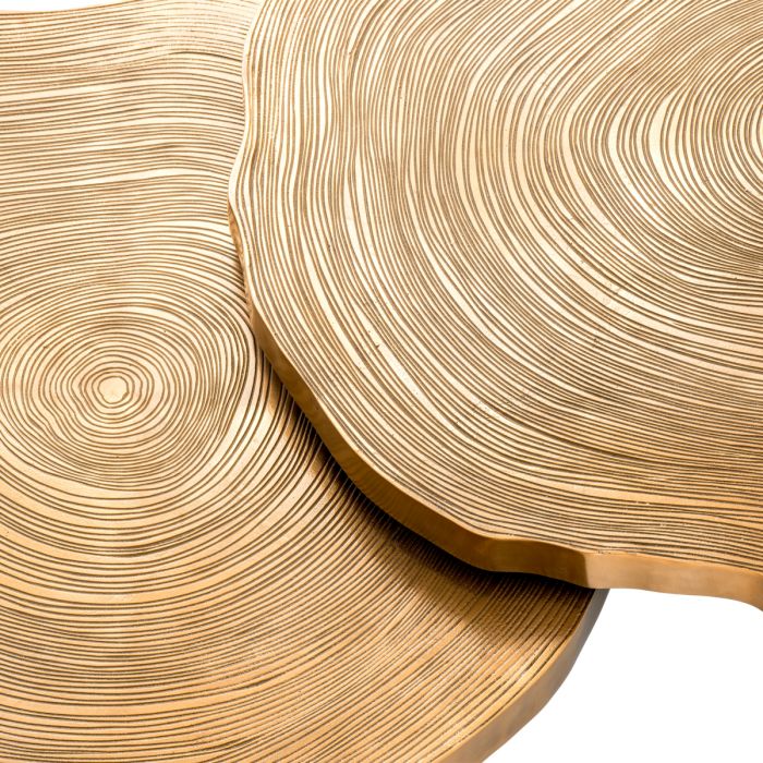 Coffee Table Thousand Oaks brass finish set of 2