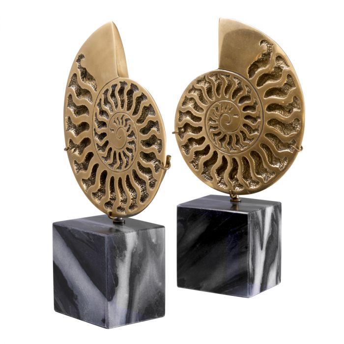 Object Ammonite vintage brass finish set of 2