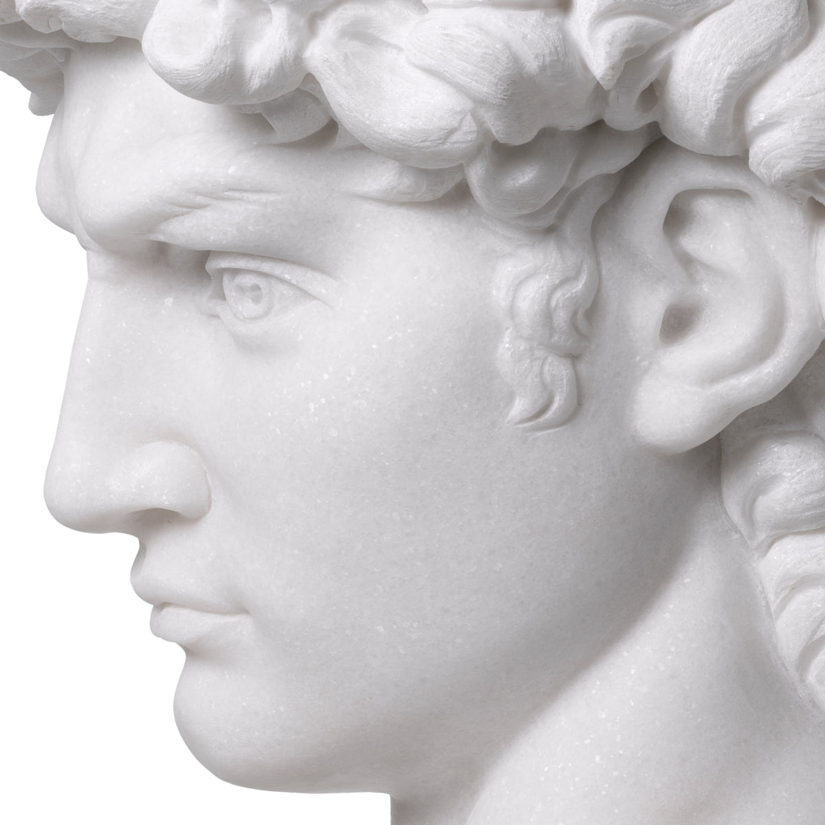 White Marble Head David | Eichholtzmh.com
