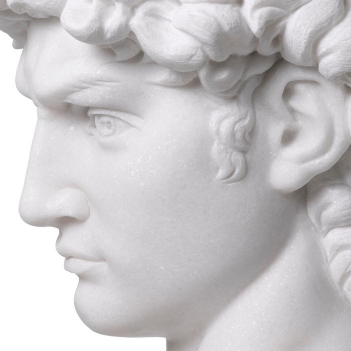 Head David white marble
