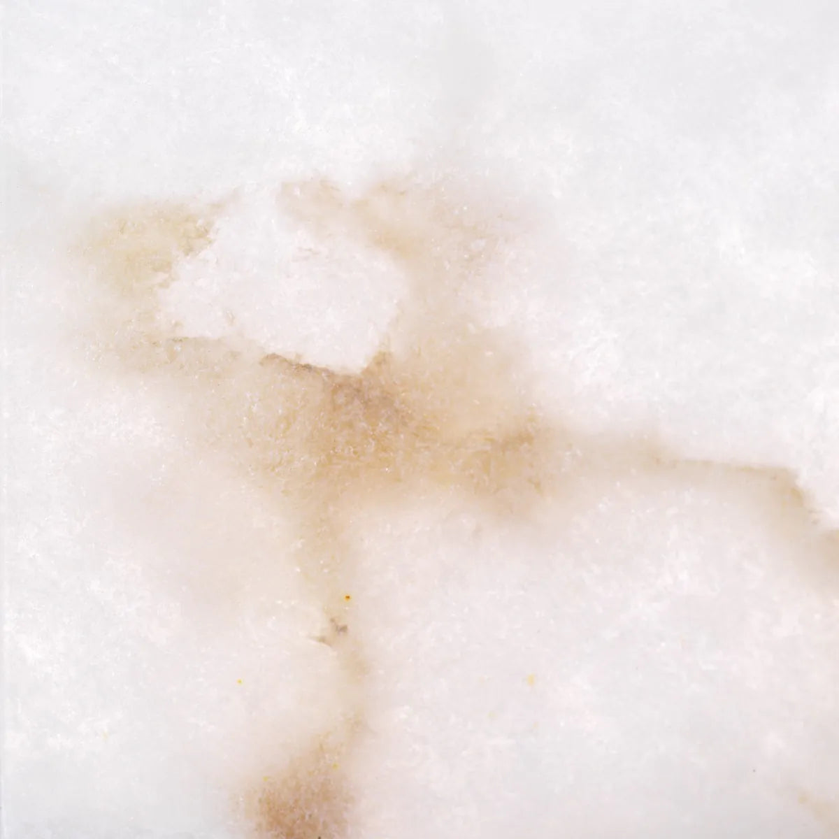 Alabaster Modern Chandelier Pizzorni | Eichholtzmh.com