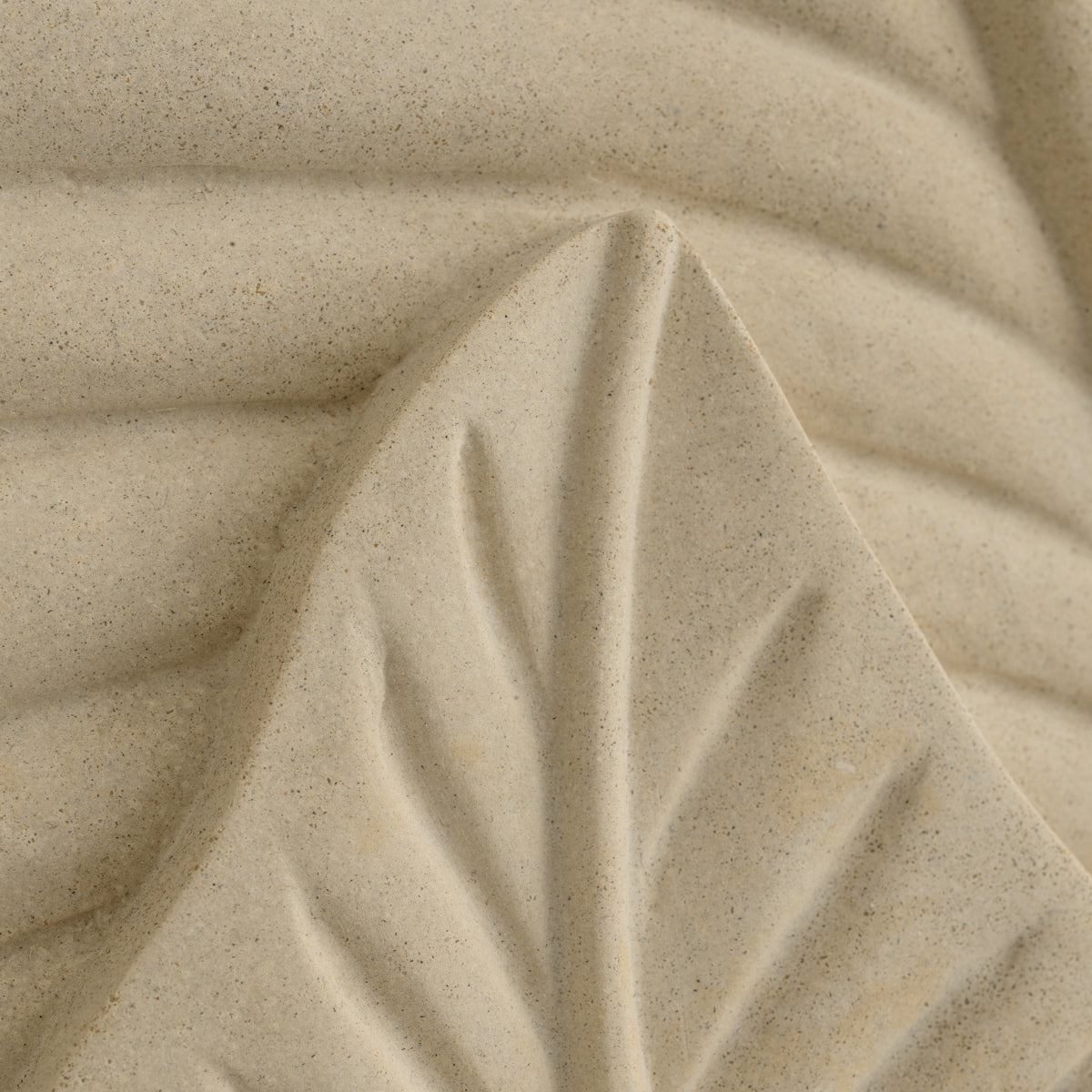 Cream Plant Wall Object Zanzibar