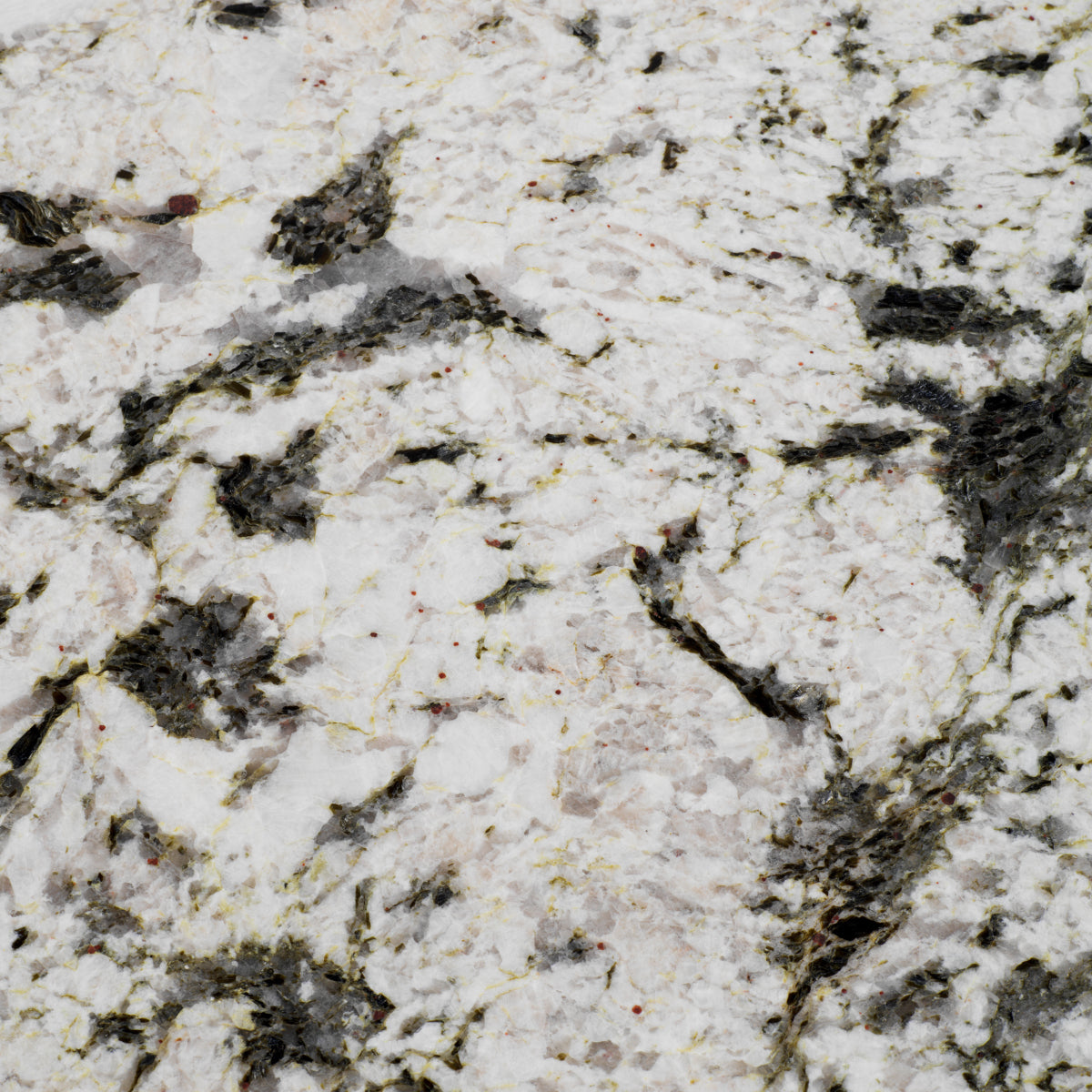 Brass Leg Coffee Table Sunwood | Eichholtzmh.com