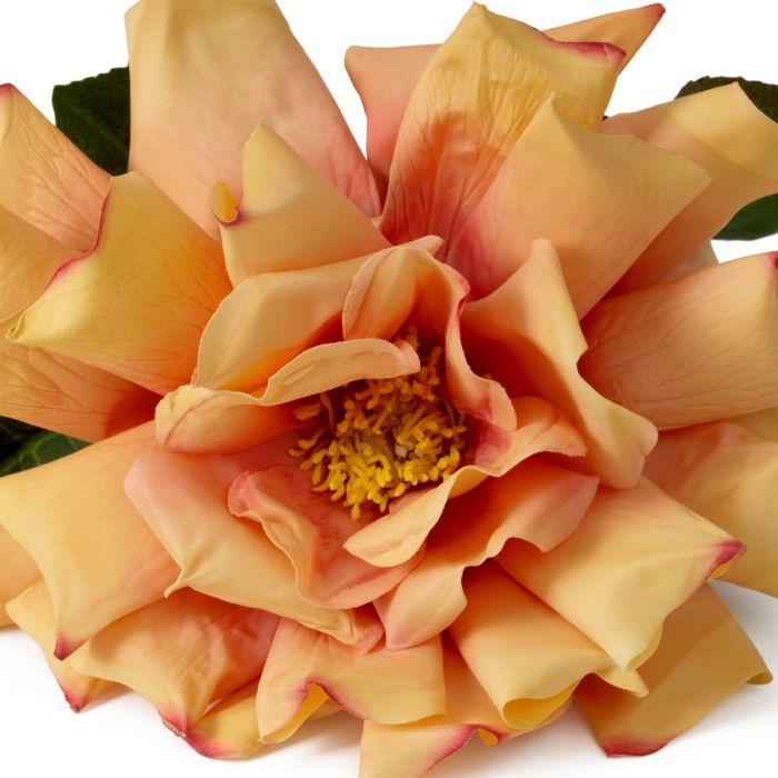 Bouquet of Roses real touch three tone peach 72 pcs/3 varieties
