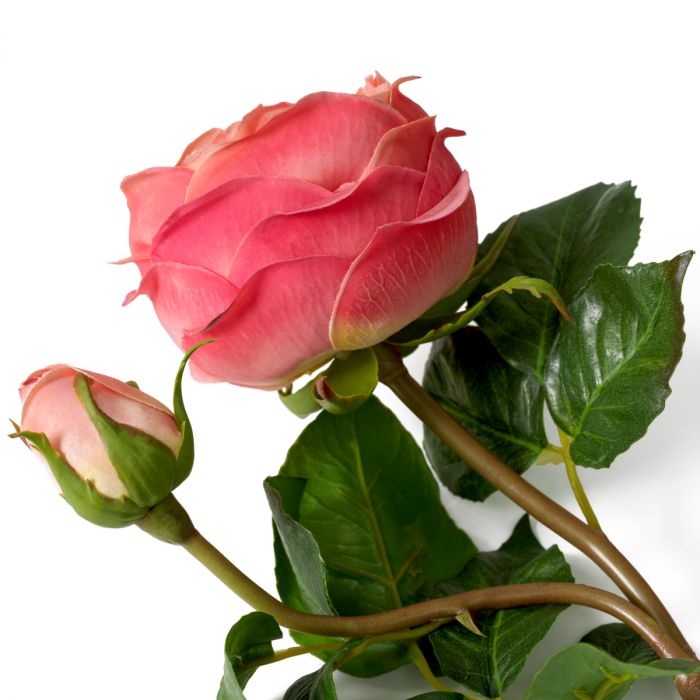 Bouquet of Roses real touch three tone peach 72 pcs/3 varieties