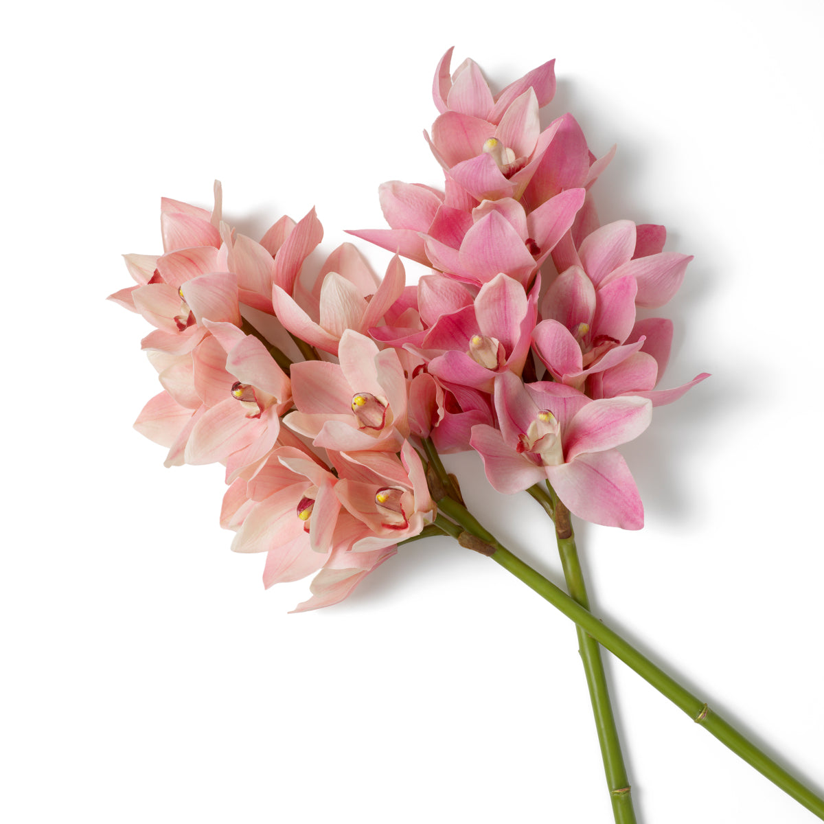 Pink Orchids Bouquet (36) Cymbidium | Eichholtzmh.com