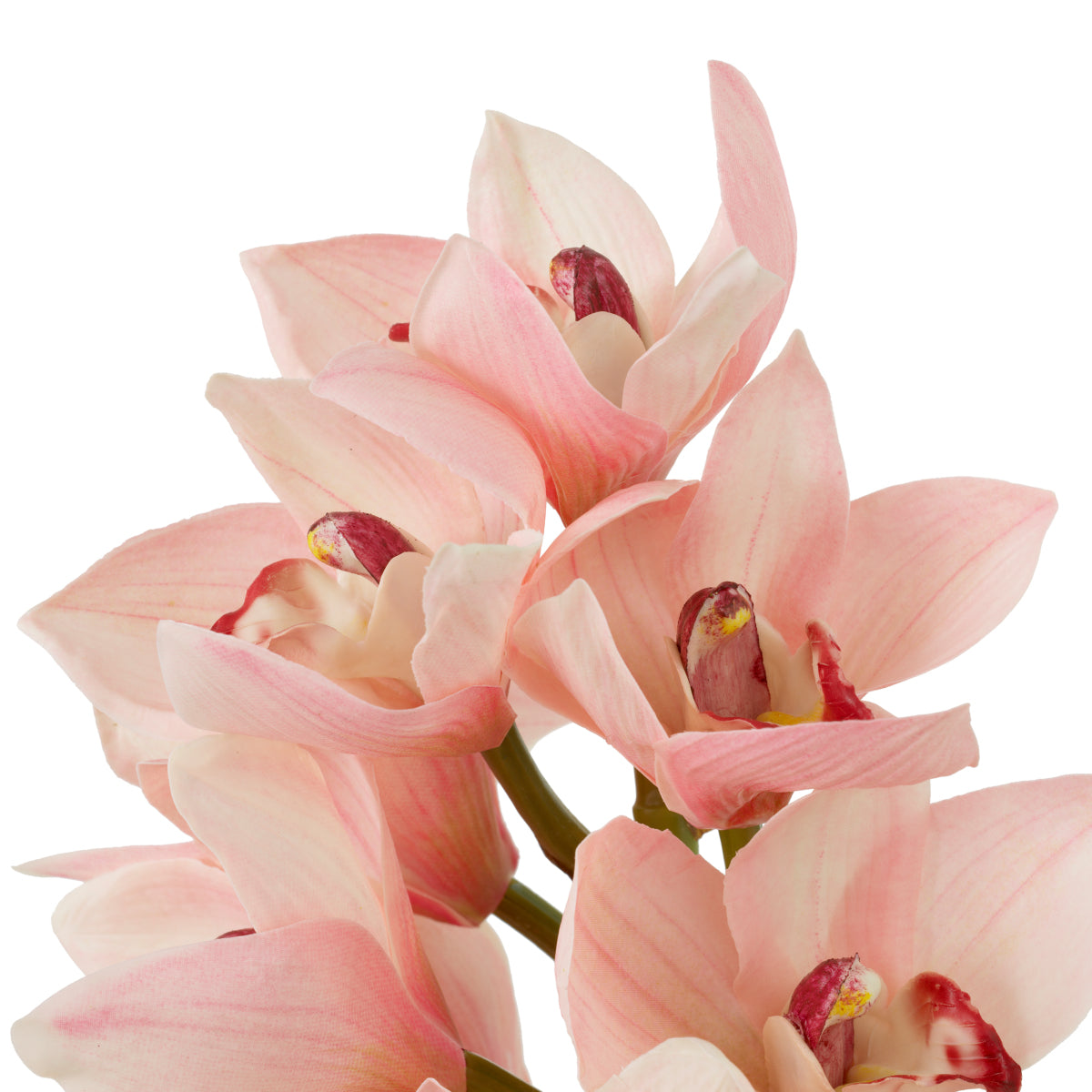 Pink Orchids Bouquet (36) Cymbidium | Eichholtzmh.com