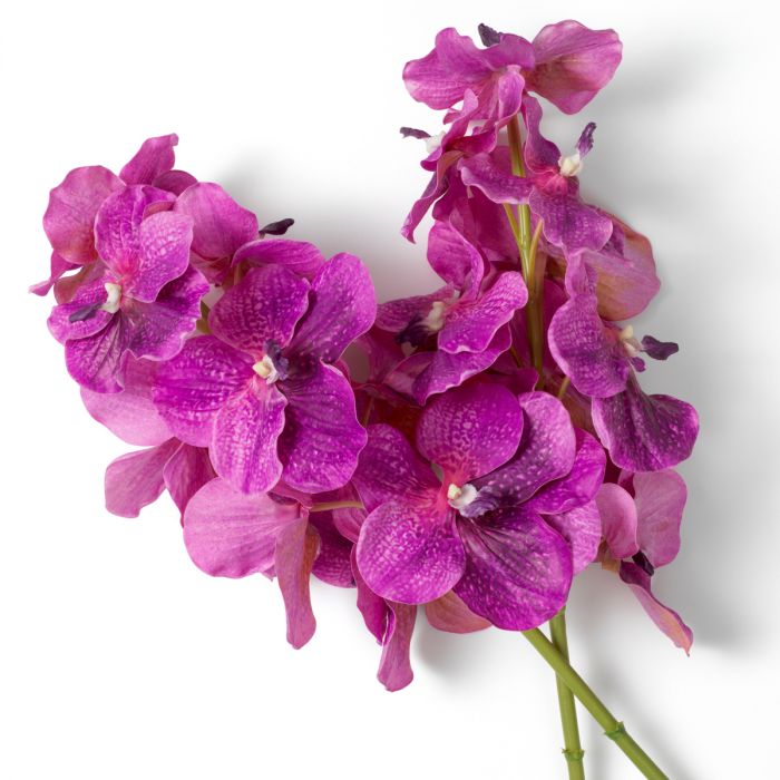 Bouquet of Vanda Orchids fuchsia real touch 24 pcs