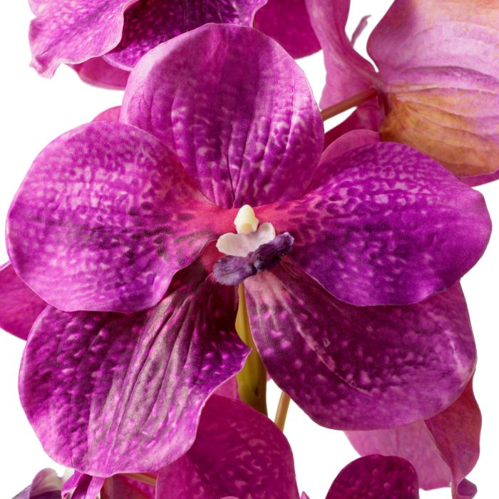 Bouquet of Vanda Orchids fuchsia real touch 24 pcs