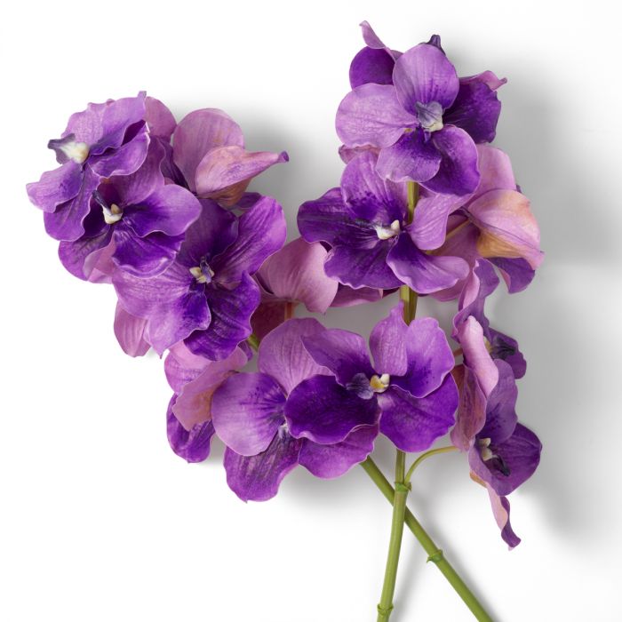 Bouquet of Vanda Orchids purple real touch 24 pcs
