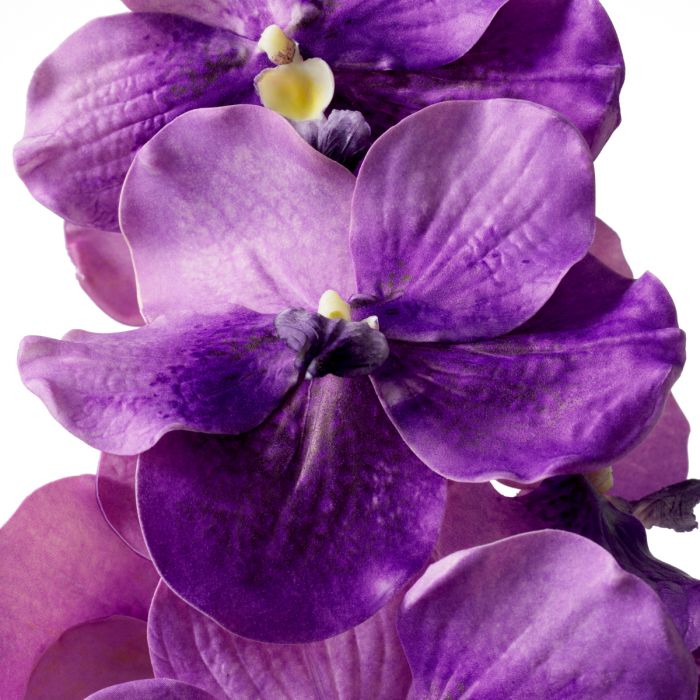 Bouquet of Vanda Orchids purple real touch 24 pcs