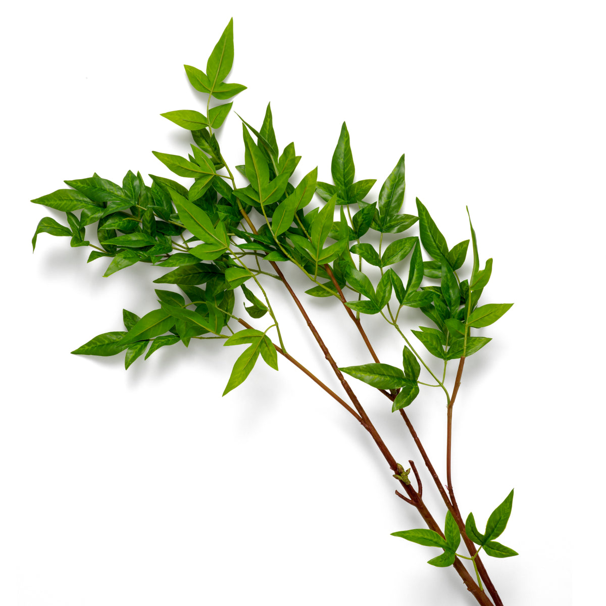 Artificial Green Bundle (36pcs) Tender Leaves | Eichholtzmh.com