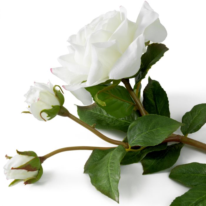 Bouquet of Roses two tone white real touch 72 pcs/2 varieties