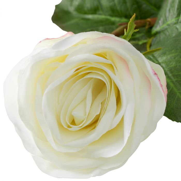 Bouquet of Roses two tone white real touch 72 pcs/2 varieties