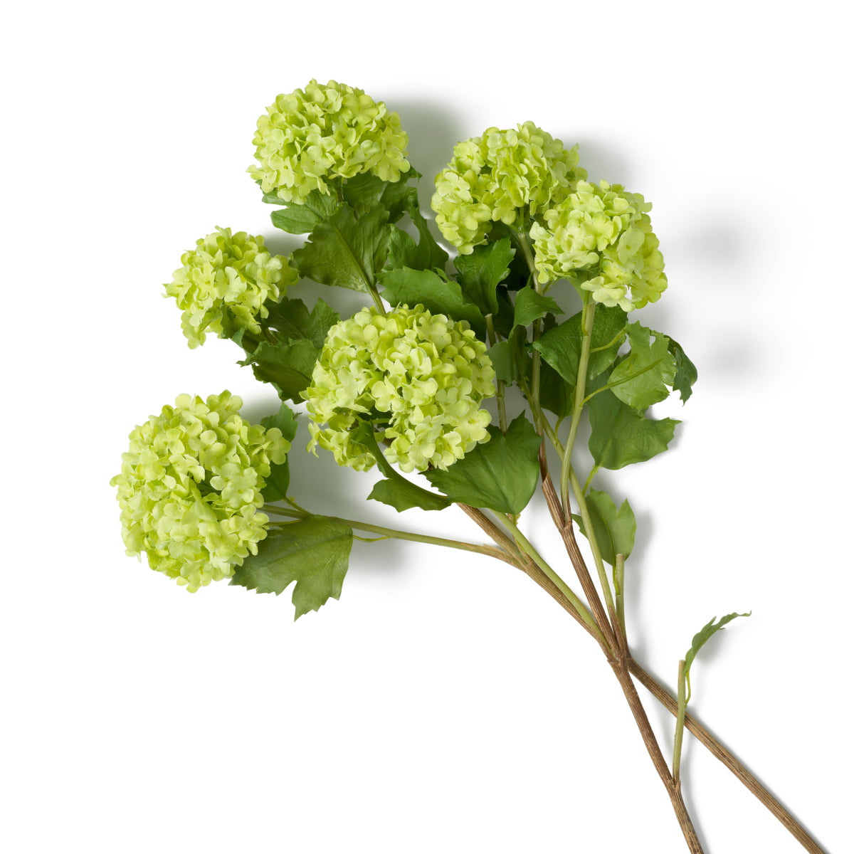 Green Snowball Flower Bouquet (36pcs) Hydrangeas