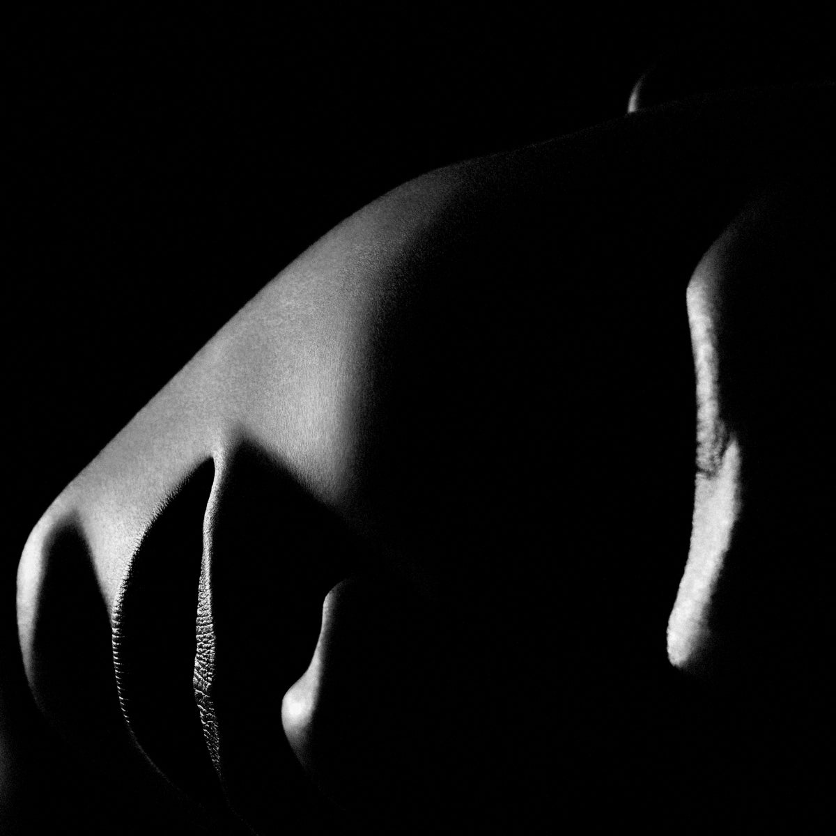 Face Silhouette Artwork Philippe Vogelenzang - La Nuit | Eichholtzmh.com