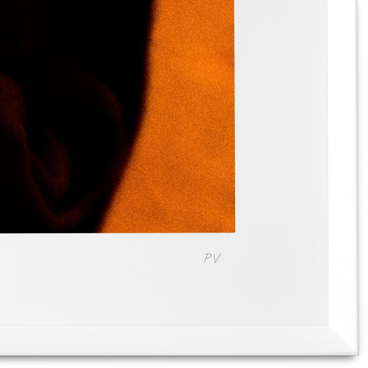 Print Philippe Vogelenzang - Vitamin oral | Eichholtzmh.com