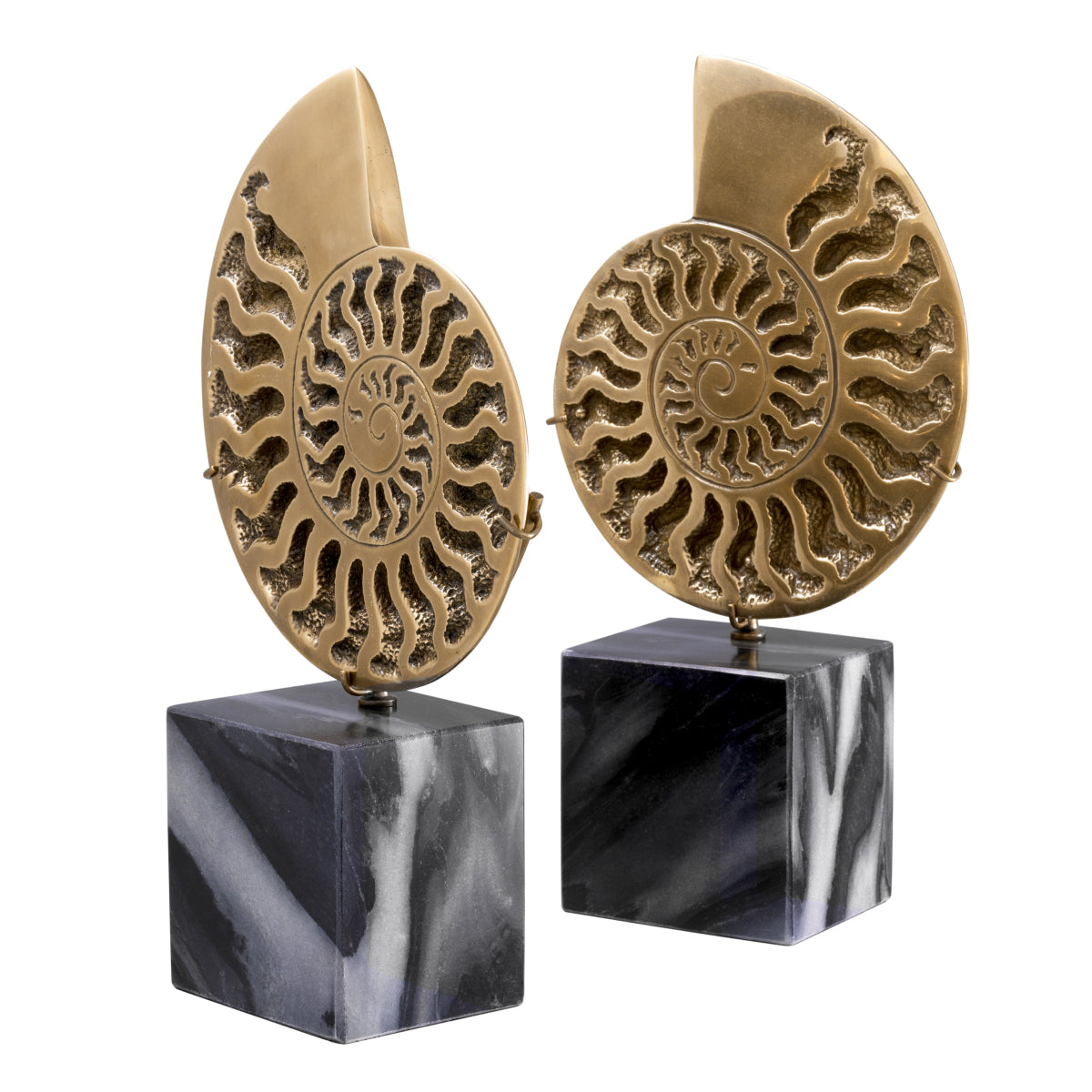 Vintage Object Set (2) Ammonite | Eichholtzmh.com