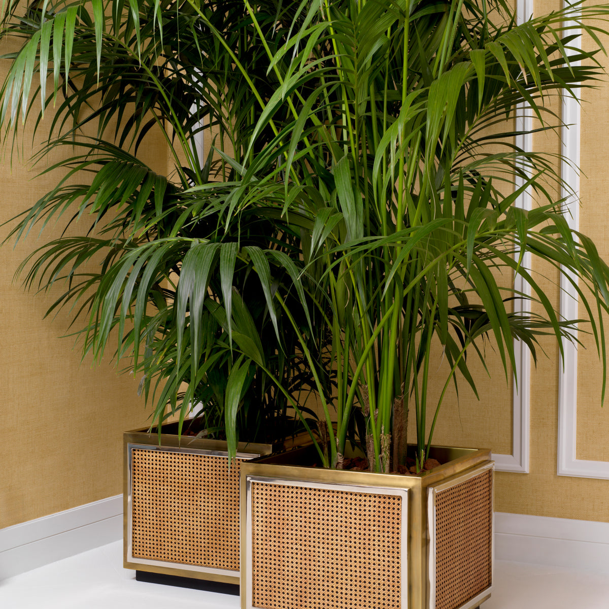 Rattan Cane Planter Tropea | Eichholtzmh.com