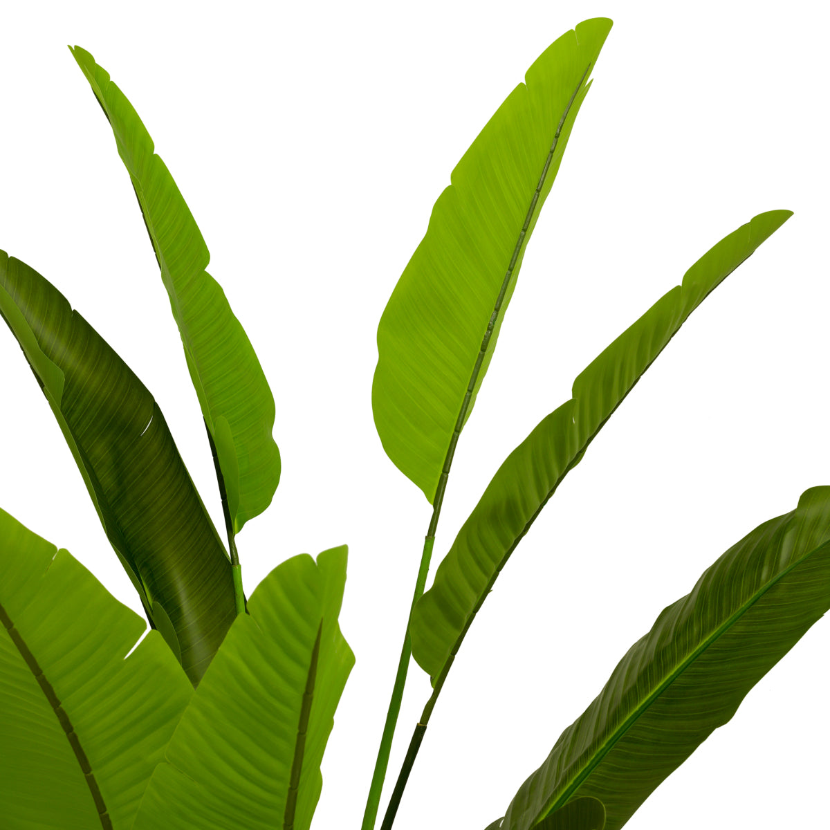 Green Artificial Plant M Strelitzia