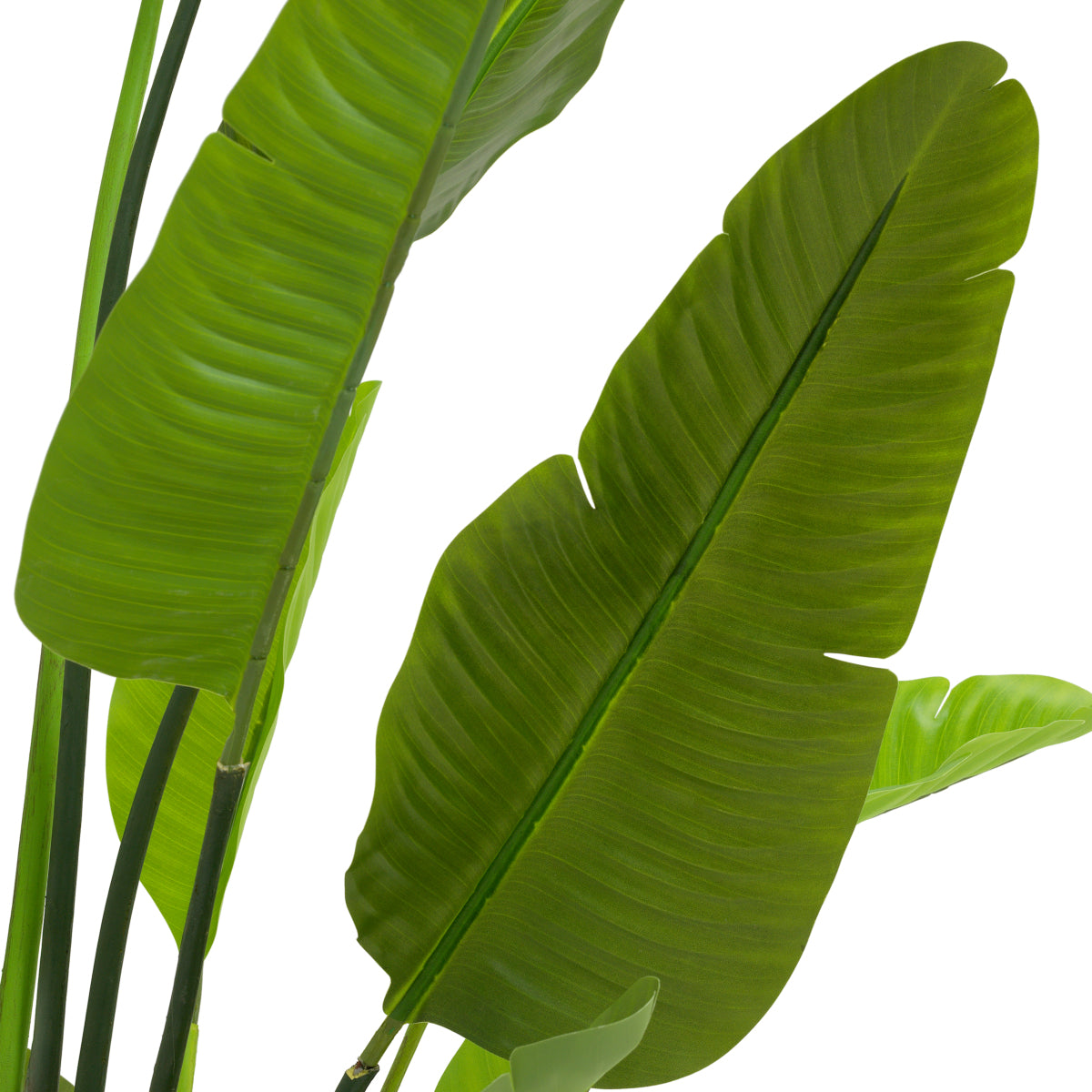 Green Artificial Plant M Strelitzia