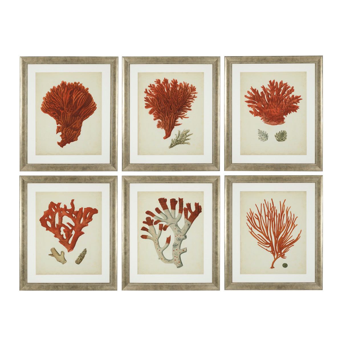 Print Antique Red Corals set of 6