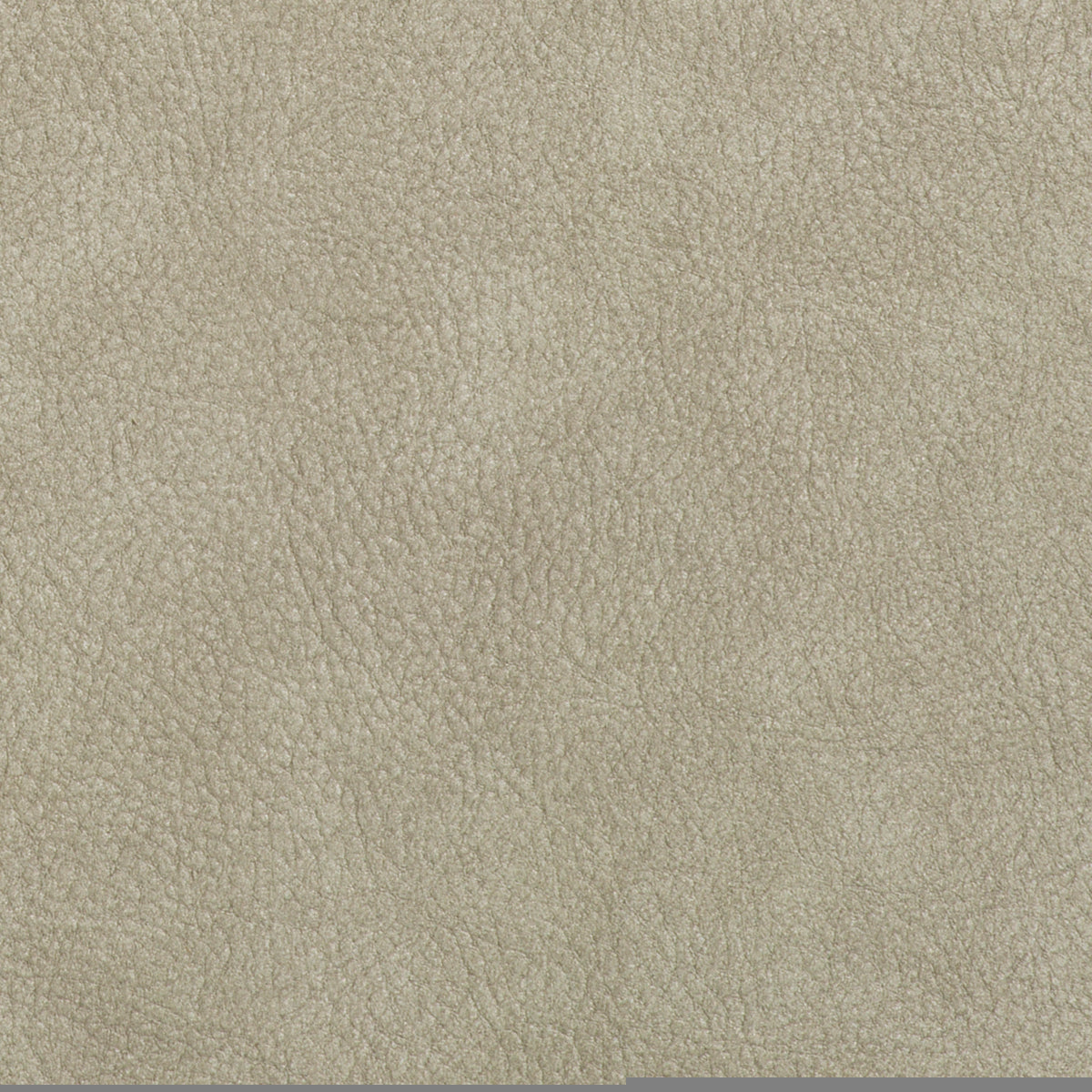 Silver Cut-Out Dining Chair (2) Cliff