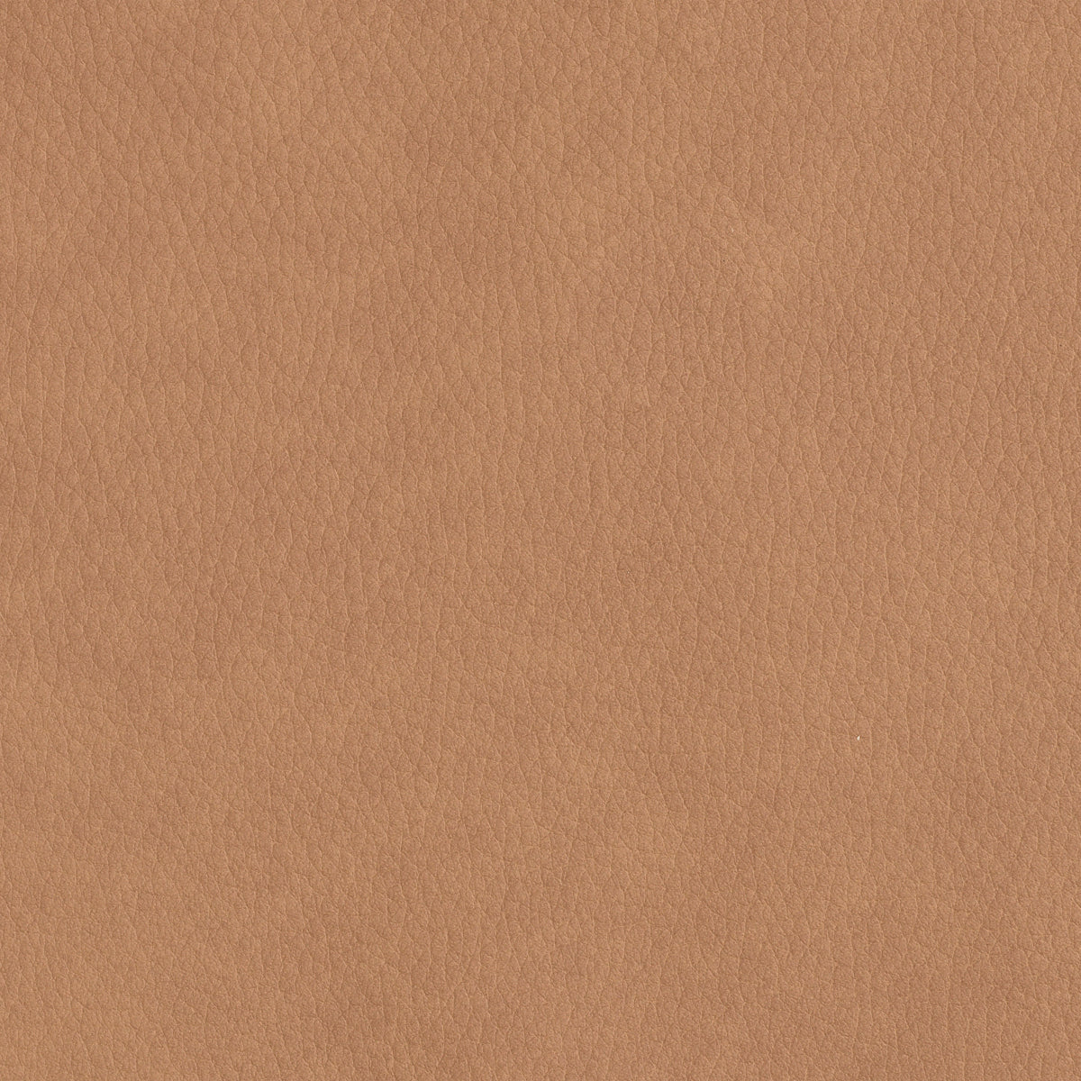 Beige Leather Upholstered Counter Stool Donato