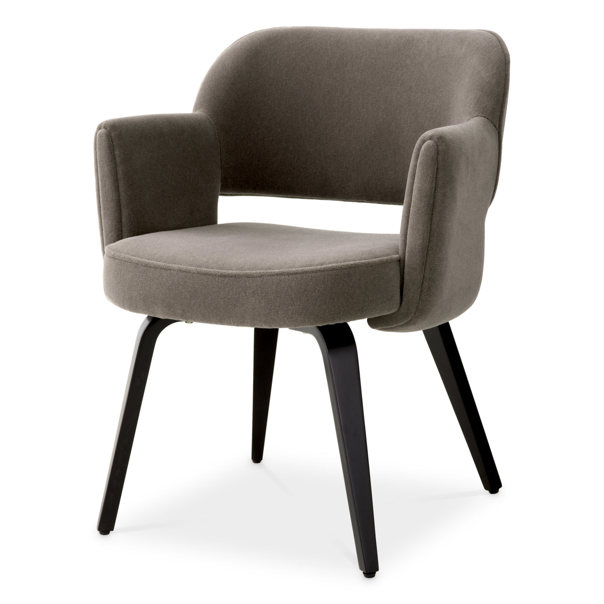 Brown Modern Dining Chair Park