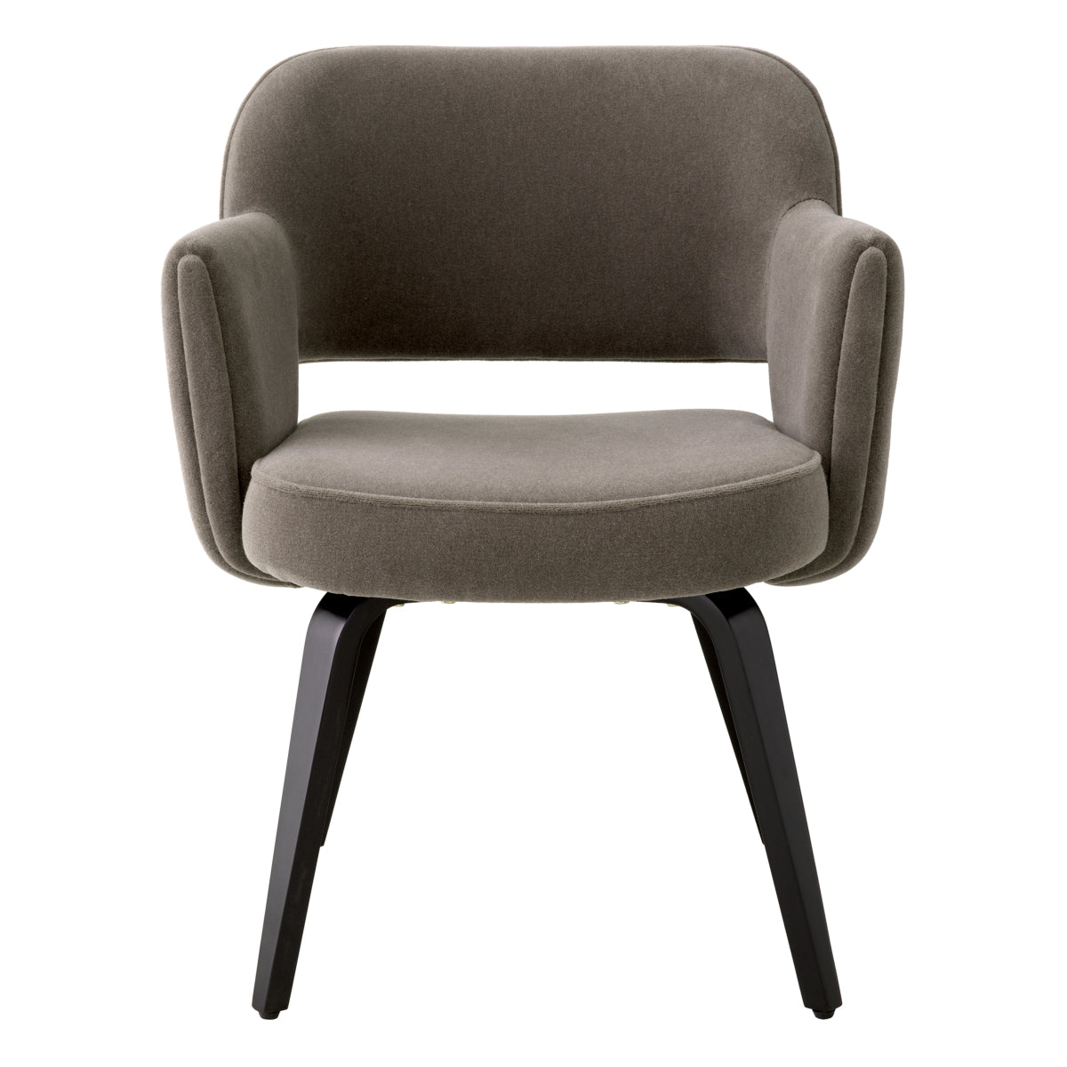 Brown Modern Dining Chair Park
