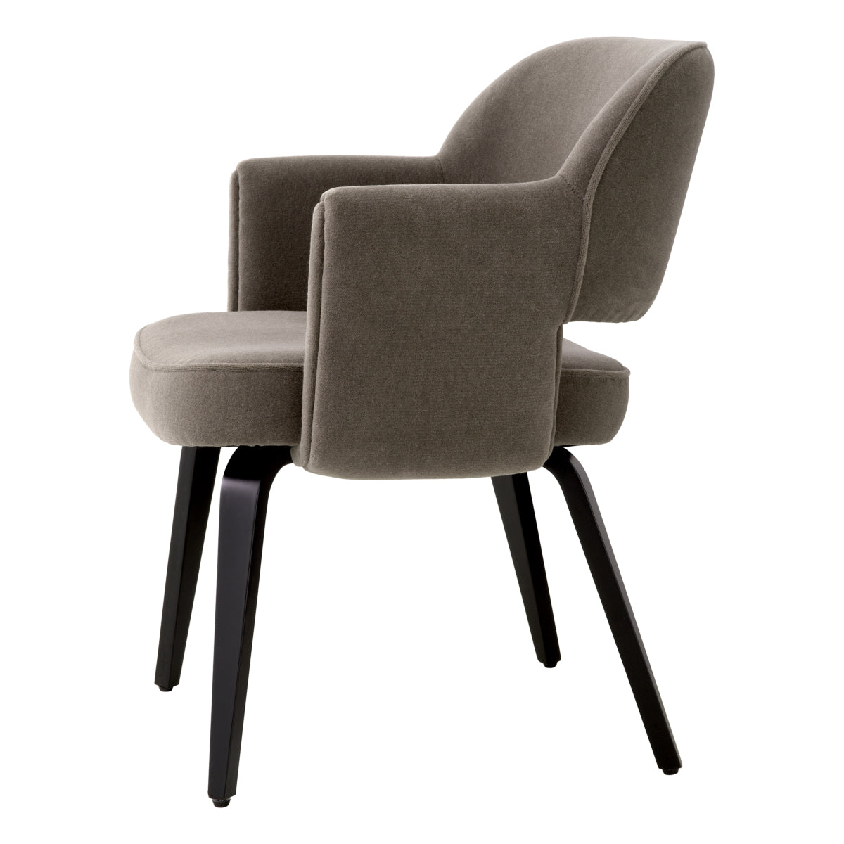 Brown Modern Dining Chair Park