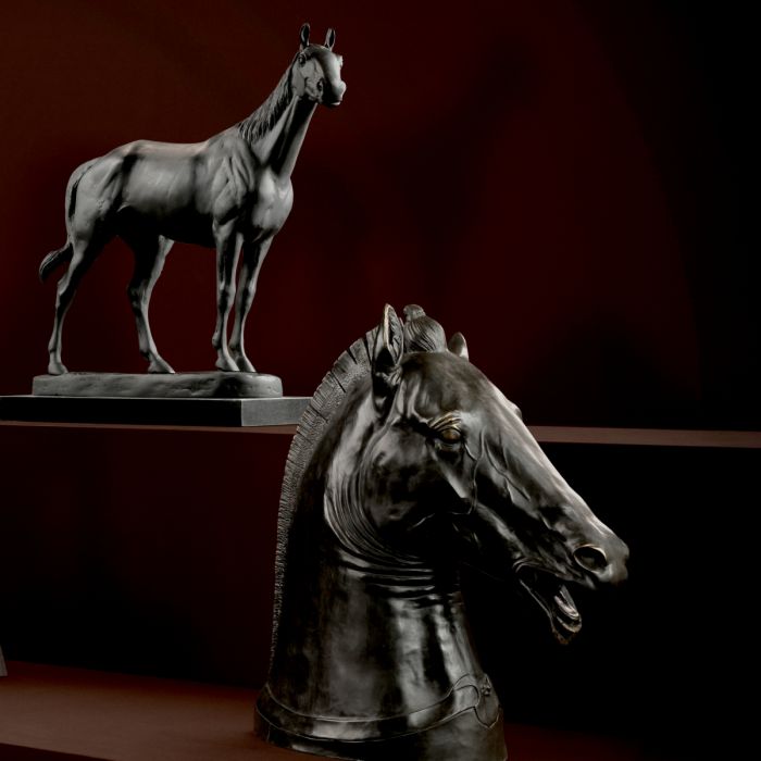 Horse Rodondo