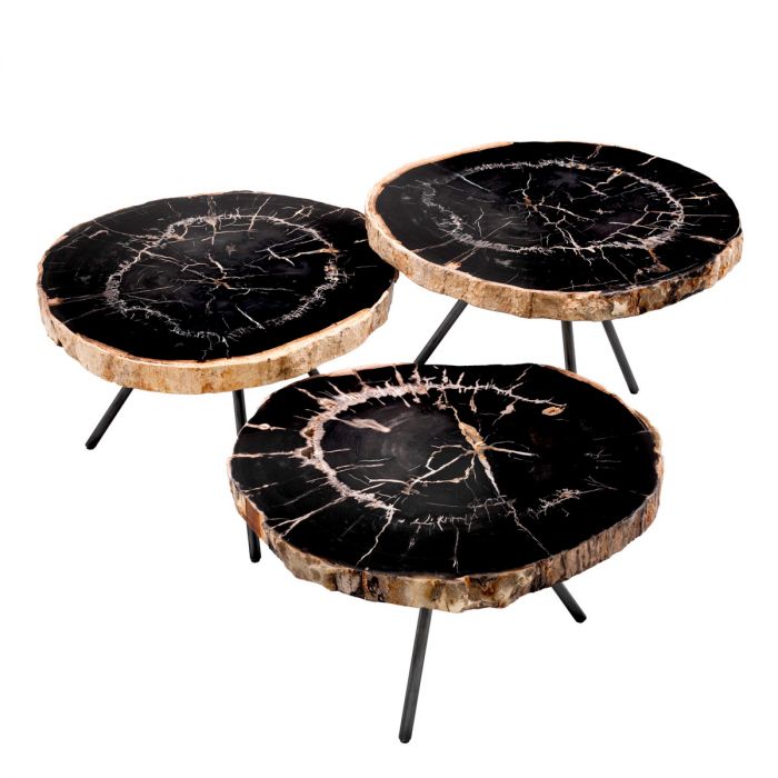 Coffee Table De Soto dark range petrified wood set of 3