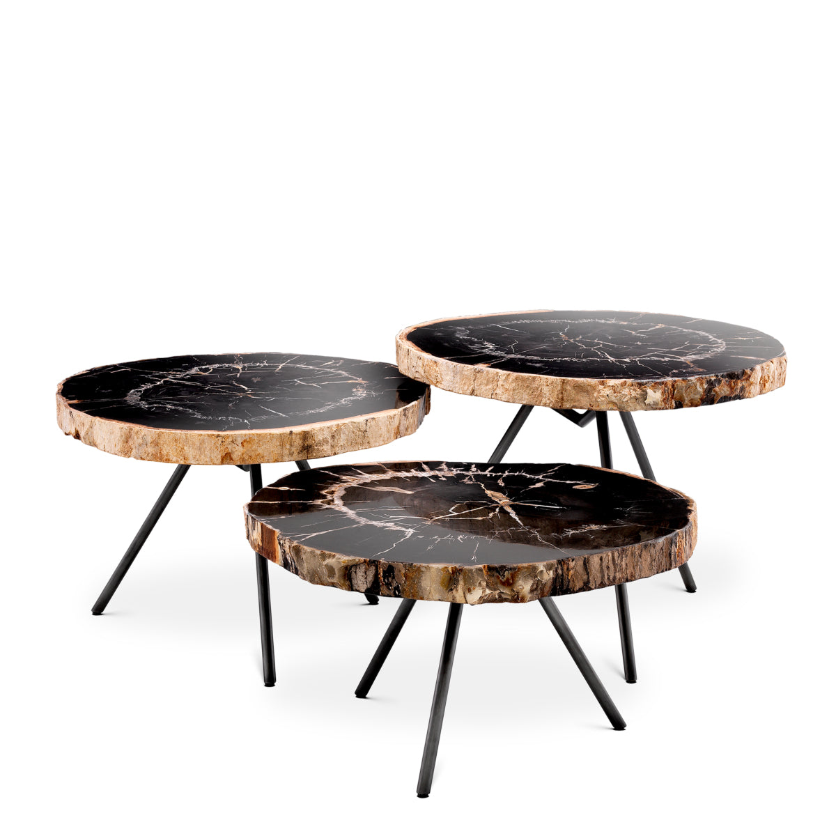 Petrified Coffee Table (3) De Soto | Eichholtzmh.com