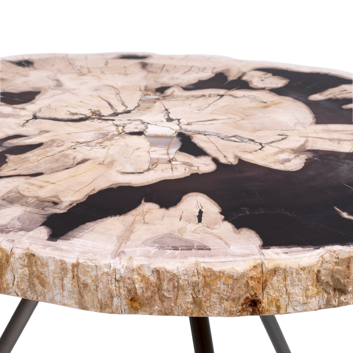 Petrified Coffee Table (3) De Soto | Eichholtzmh.com