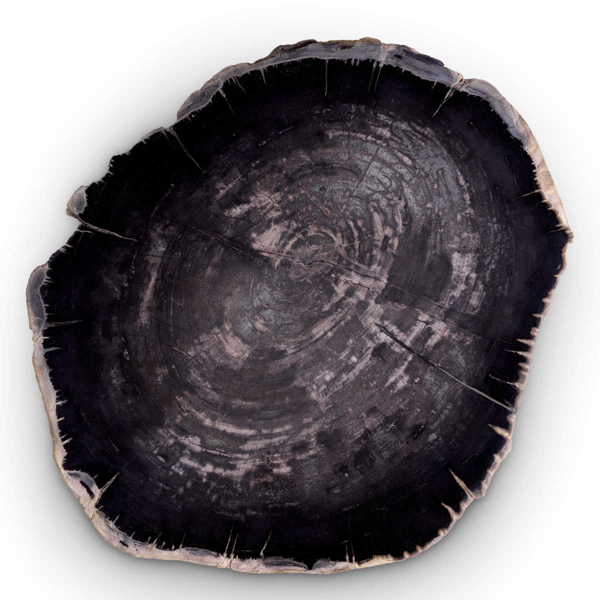 Petrified Coffee Table (3) De Soto | Eichholtzmh.com