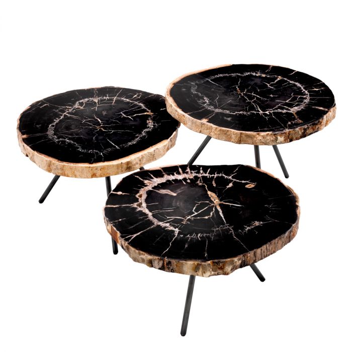 Coffee Table De Soto dark range petrified wood set of 3